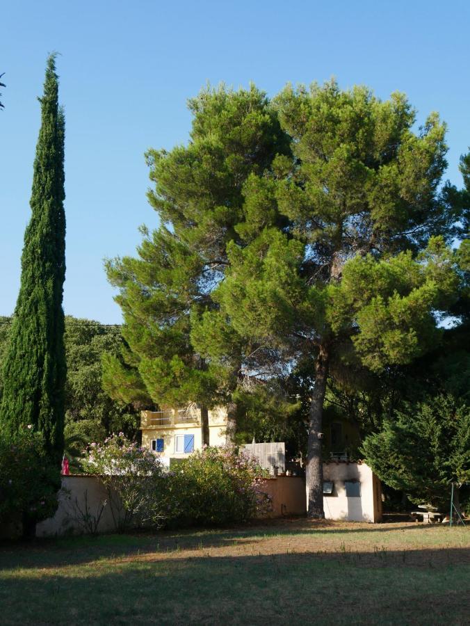 Gites De La Massane Argeles-sur-Mer Exterior photo