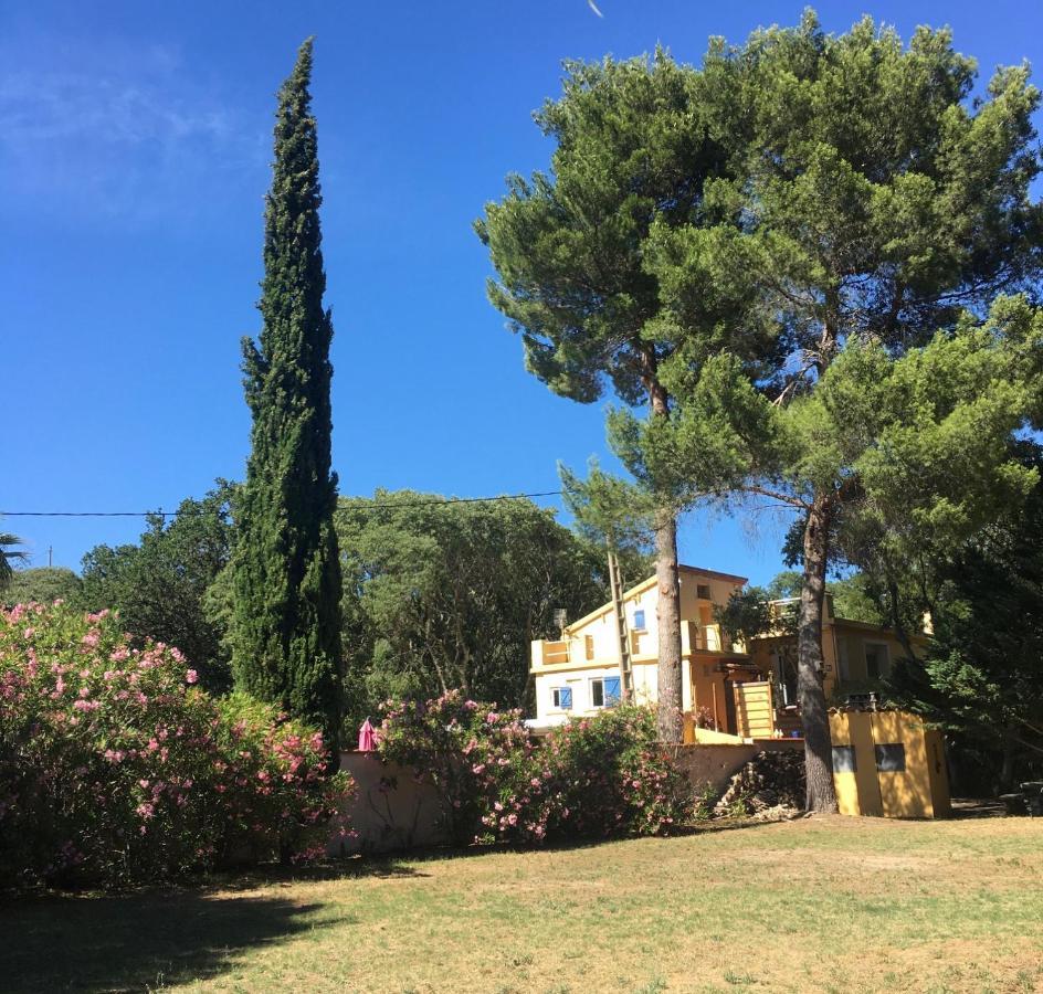 Gites De La Massane Argeles-sur-Mer Exterior photo